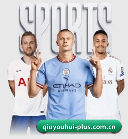五大服务分区,信息按项目分类
